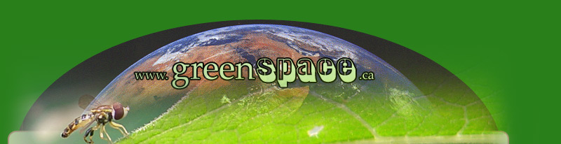 greenspace