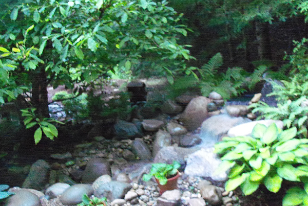 Hopkins Waterfall