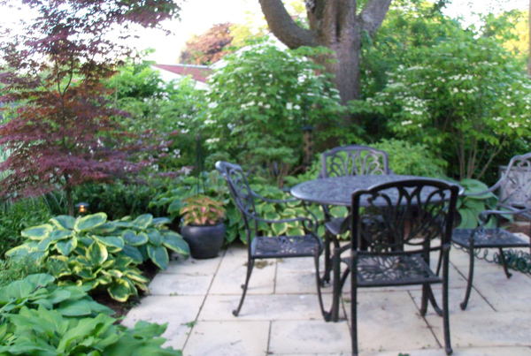 Woodland Patio