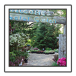 Welcome to our Perennial Garden