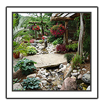Rock Garden