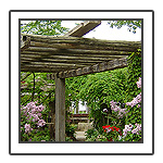 Click to enlarge >>