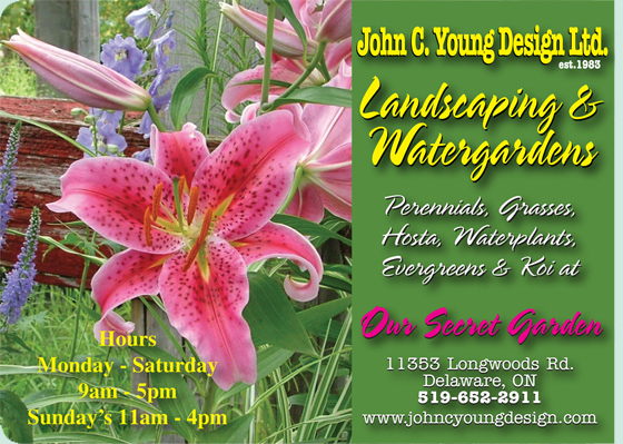 John C Young Design Ltd. Landscaping & Watergardens, perennials, grasses, hosts, Waterplants, Evergreens & Koi